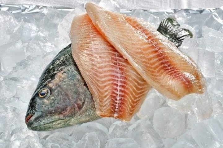 Fresh tilapia and seafood
